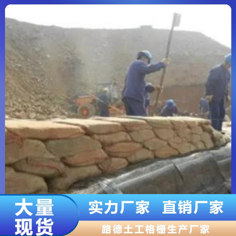 单向塑料格栅塑料排水板订购