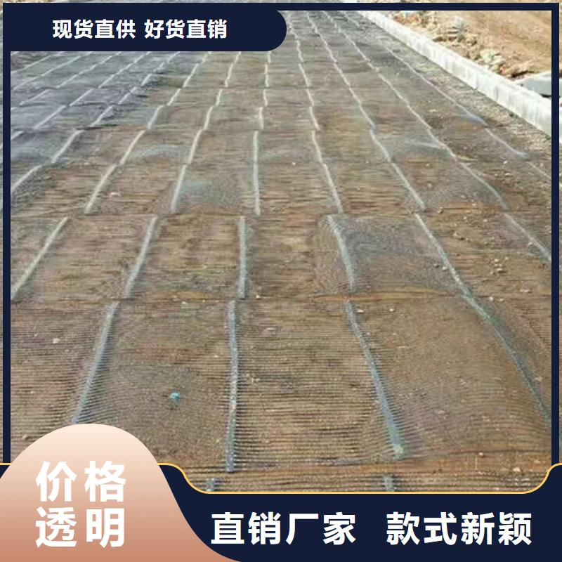 单向塑料格栅膨润土防水毯好货采购