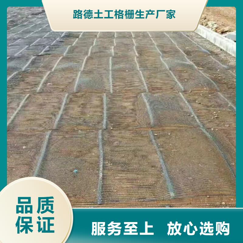 单向塑料格栅复合土工布自有厂家