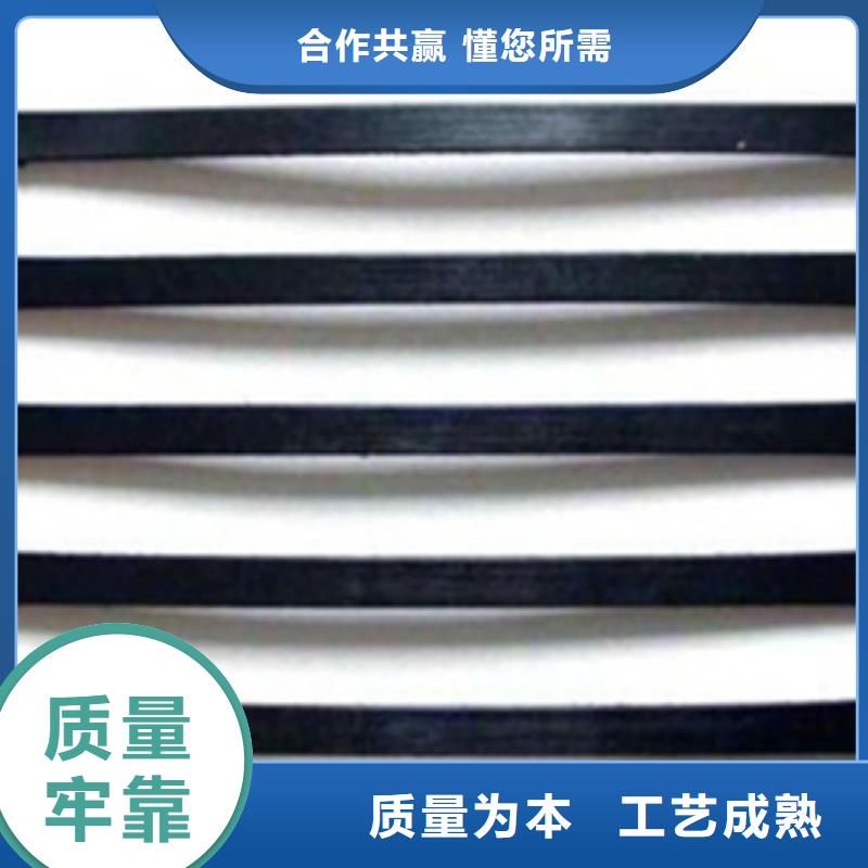 单向塑料格栅塑料排水板放心选购