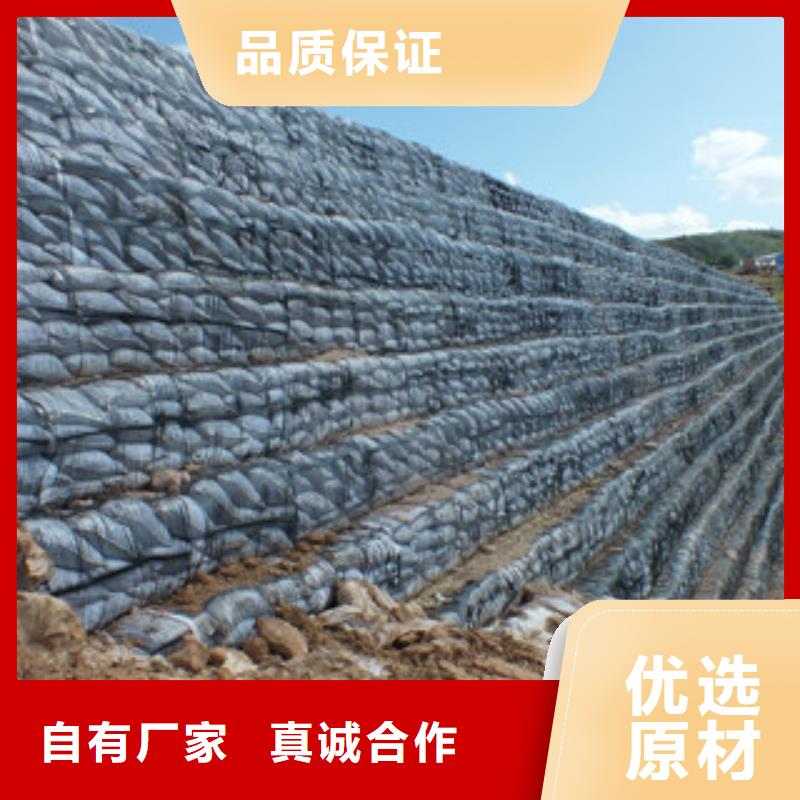 单向塑料格栅膨润土防水毯好货采购