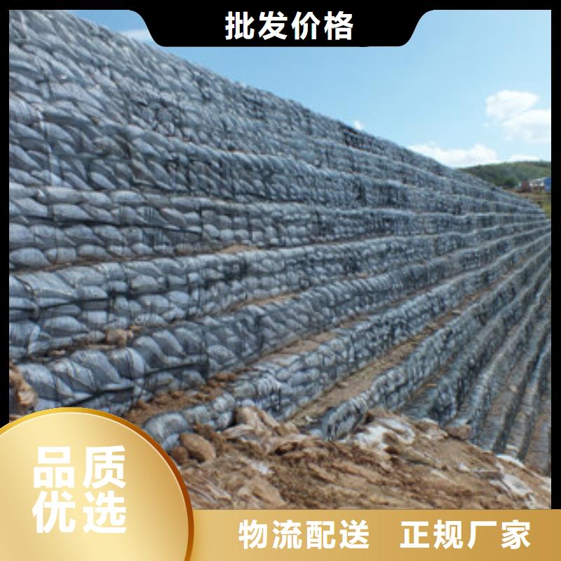 单向塑料格栅塑料排水板放心选购