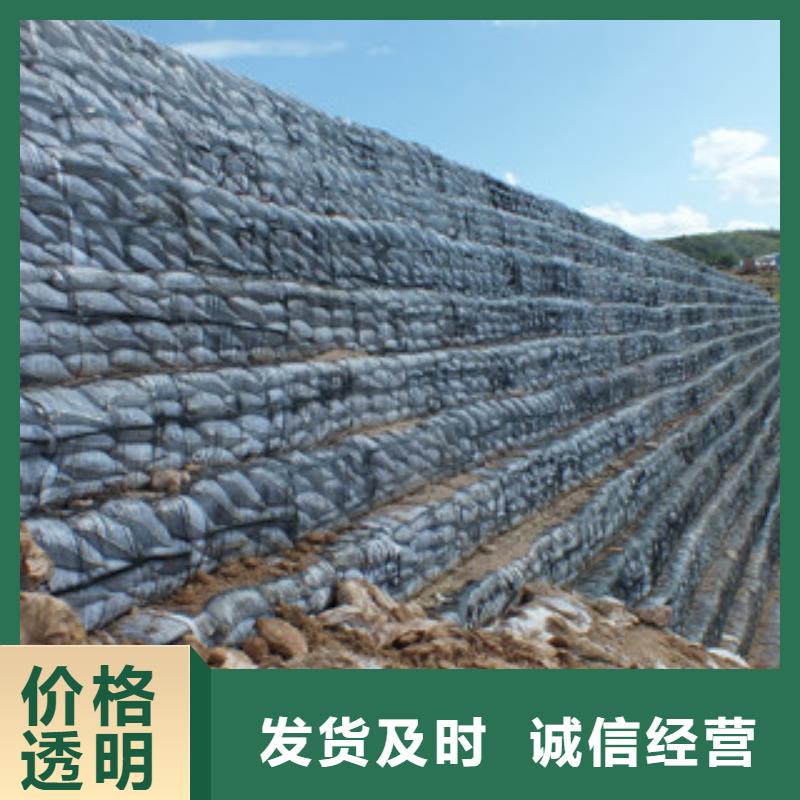单向塑料格栅复合土工布自有厂家