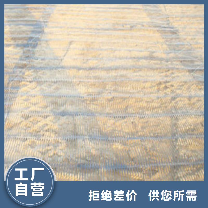 单向塑料格栅塑料排水板放心选购
