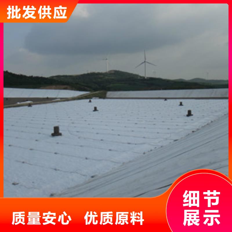 土工布【三维植被网】按需定制