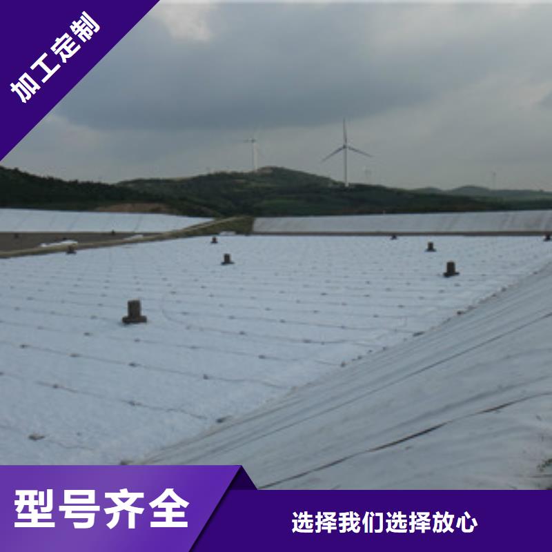 土工布三维植被网有口皆碑