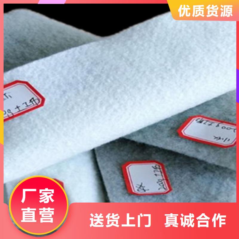 土工布_膨润土防水毯服务周到