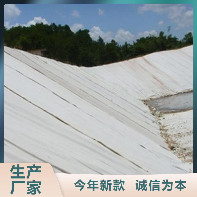 土工布玻纤土工格栅品质有保障