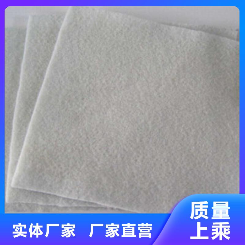 土工布玻纤土工格栅工厂价格