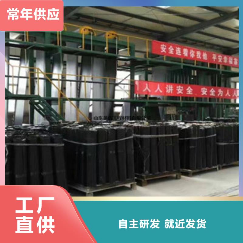 防裂贴塑料土工格栅支持大批量采购