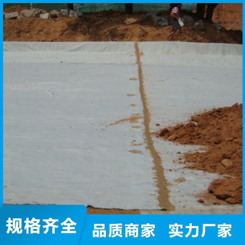膨润土防水毯选择我们没错