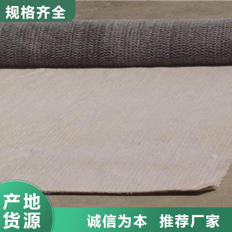 膨润土防水毯【钢塑土工格栅】价格地道