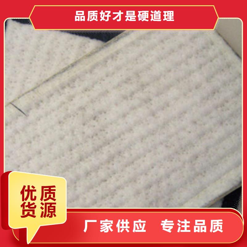膨润土防水毯【三维植被网】专注生产制造多年