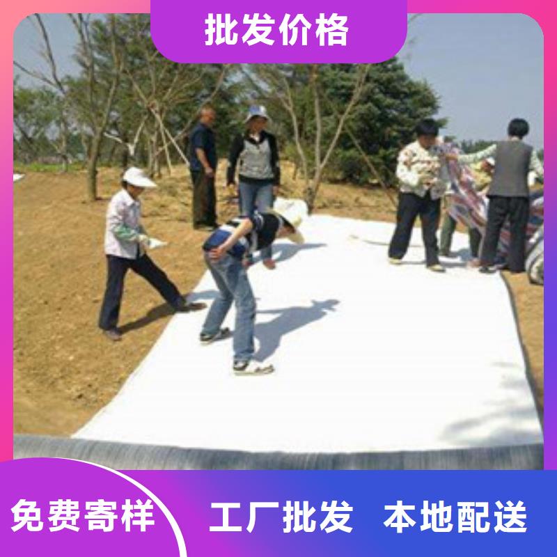 膨润土防水毯【钢塑土工格栅】价格地道