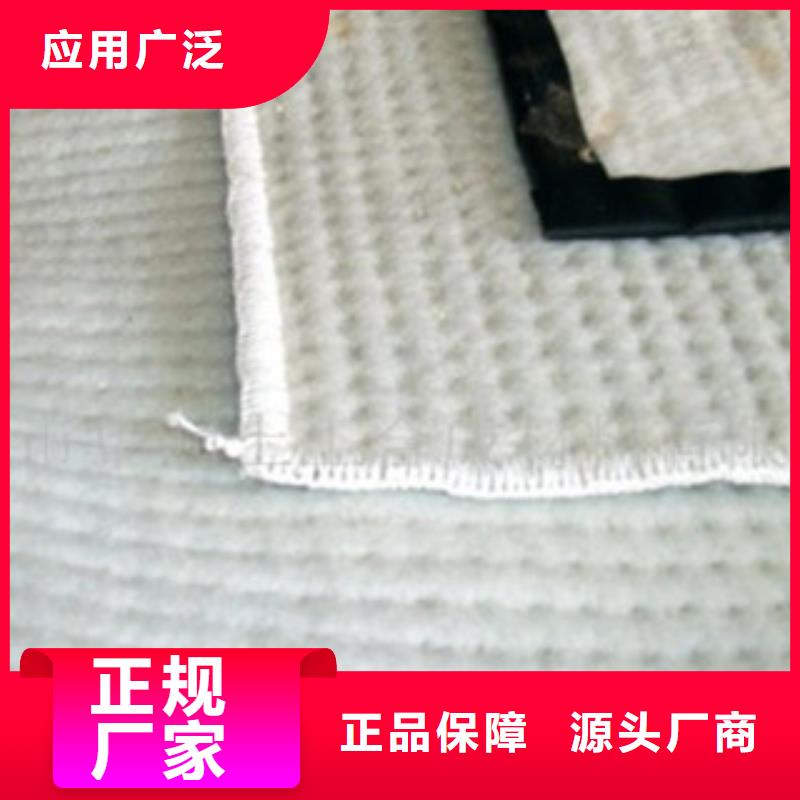 膨润土防水毯_塑料土工格栅生产经验丰富