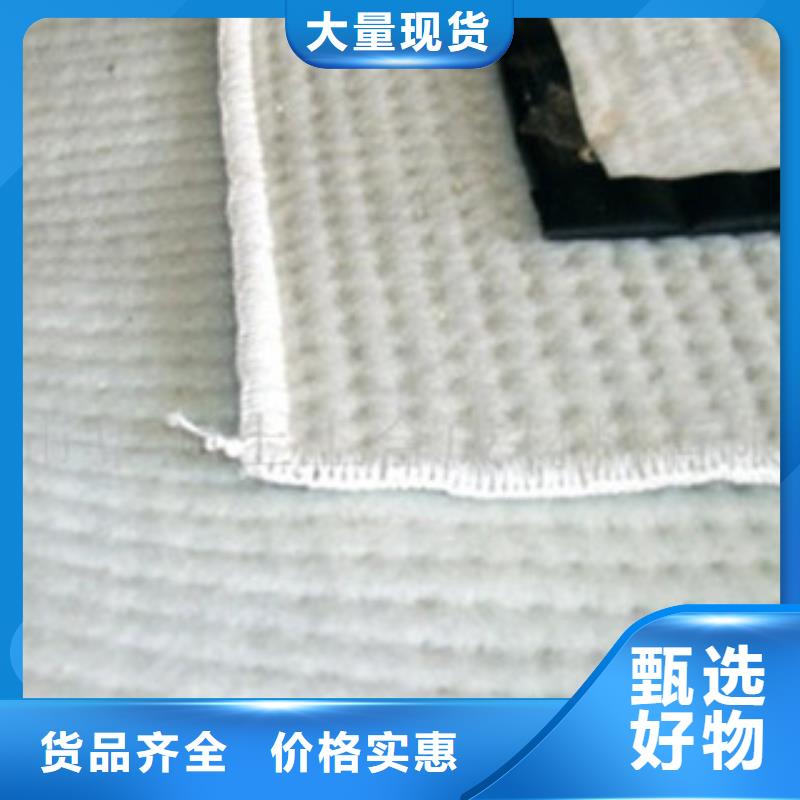 膨润土防水毯源头厂家经验丰富