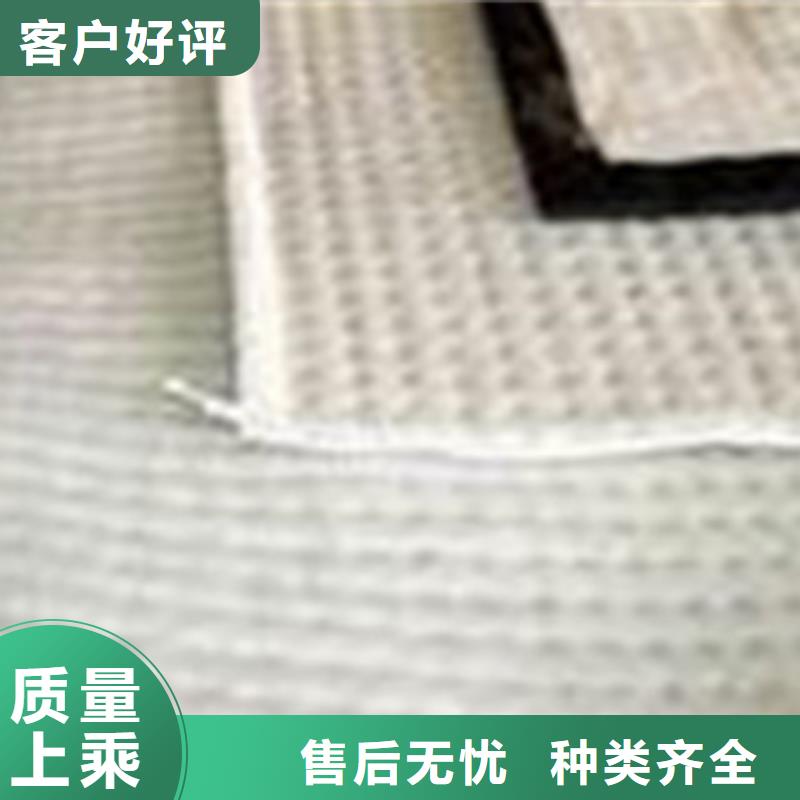 膨润土防水毯源头厂家经验丰富