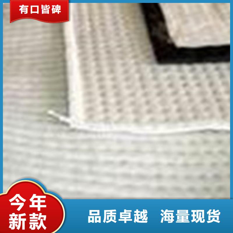 膨润土防水毯,塑料土工格栅价格透明