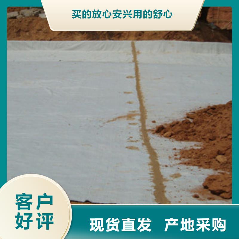 膨润土防水毯,塑料土工格栅价格透明
