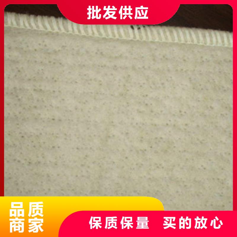 膨润土防水毯塑料土工格栅现货充足量大优惠