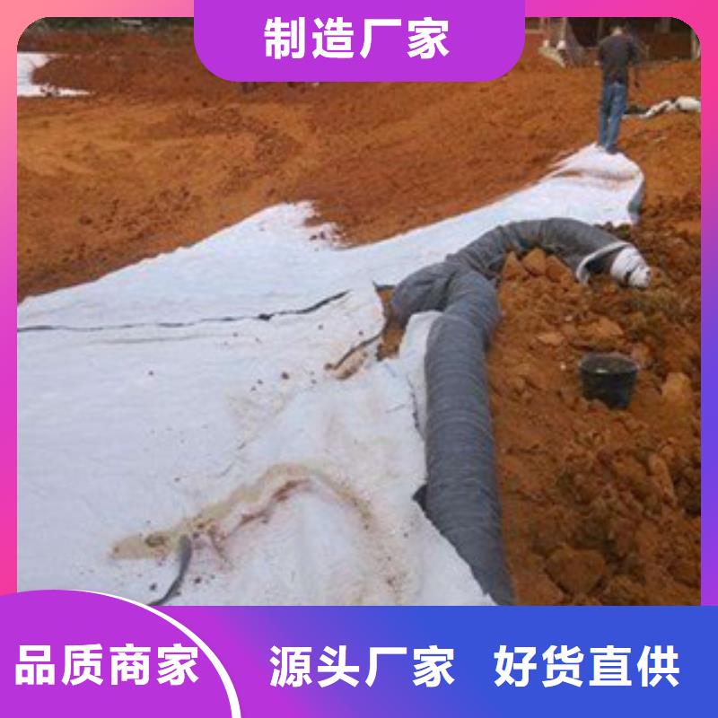 膨润土防水毯_塑料土工格栅生产经验丰富