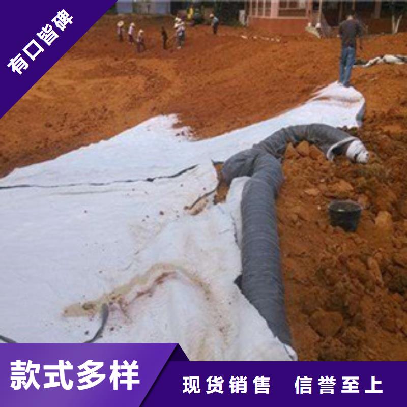 膨润土防水毯塑料排水板价格透明