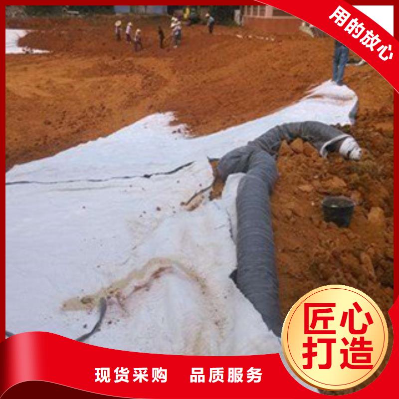 膨润土防水毯【钢塑土工格栅】价格地道