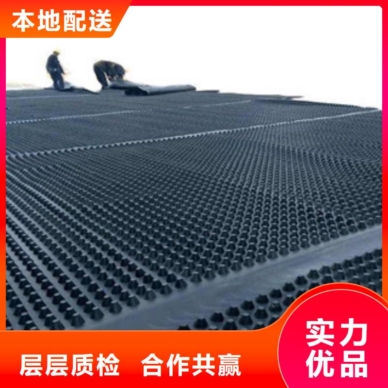 塑料排水板_膨润土防水毯种类多质量好