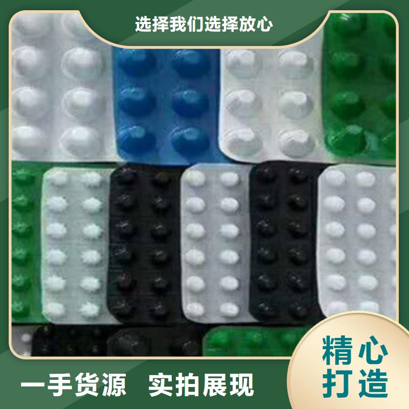 塑料排水板玻纤土工格栅懂您所需