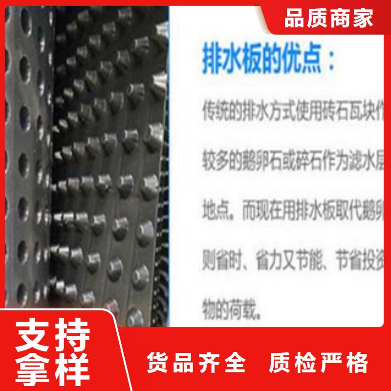 塑料排水板_塑料土工格栅专业的生产厂家