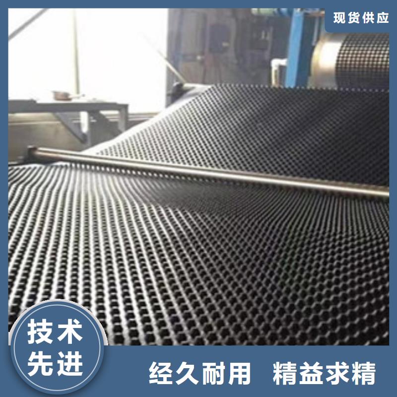 塑料排水板塑料土工格栅拥有多家成功案例