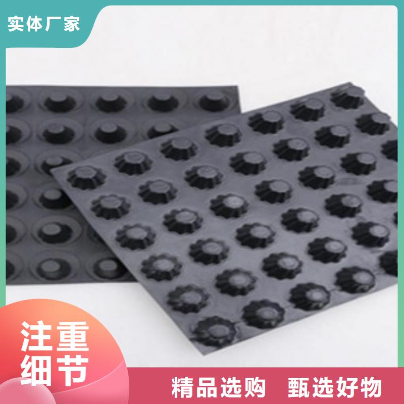 塑料排水板_防裂贴抗裂贴品质保障售后无忧