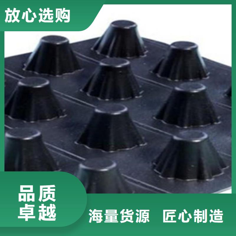 塑料排水板塑料土工格栅工厂直营