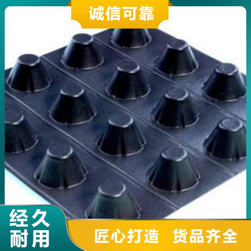 塑料排水板塑料土工格栅拥有多家成功案例