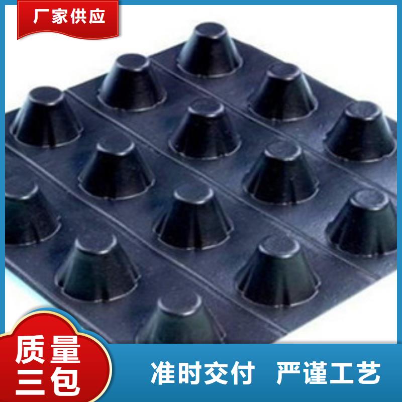 塑料排水板_防裂贴抗裂贴品质保障售后无忧