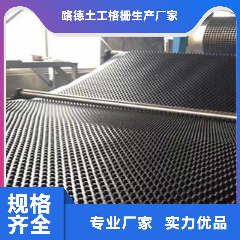 塑料排水板塑料土工格栅工厂直营