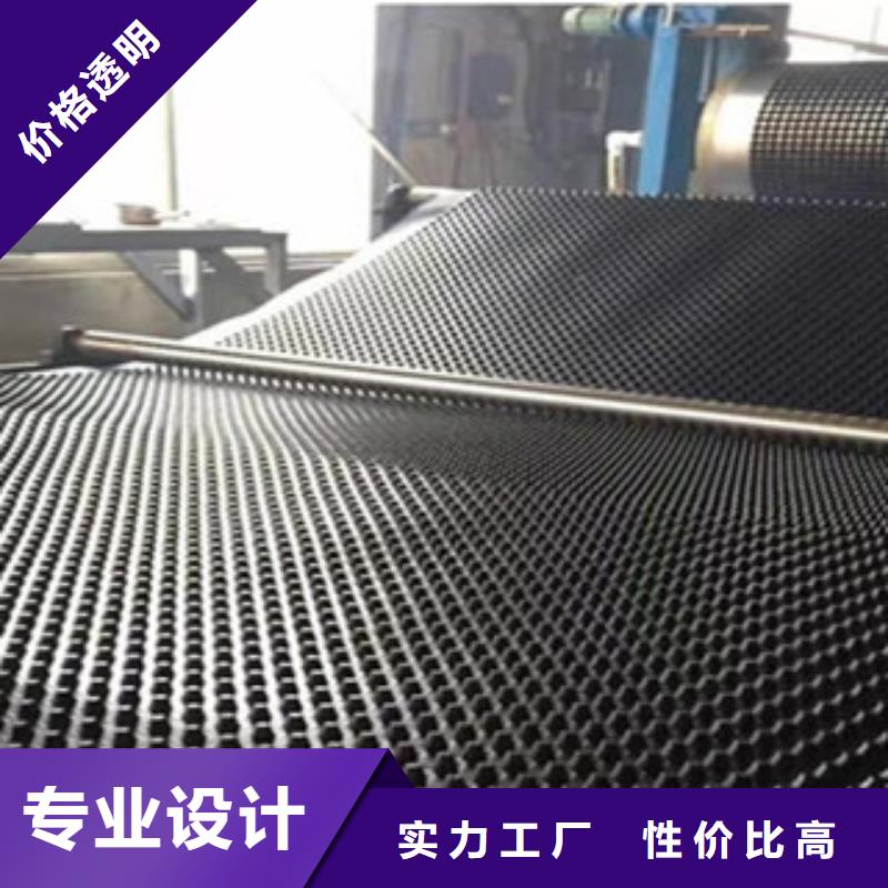塑料排水板三维植被网适用场景