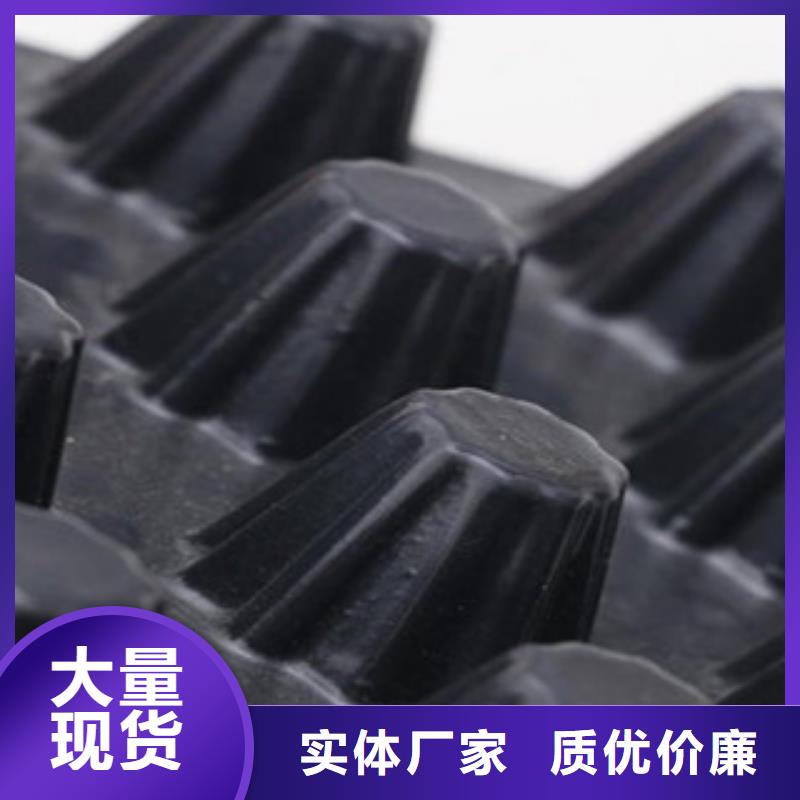 塑料排水板_塑料土工格栅专业的生产厂家