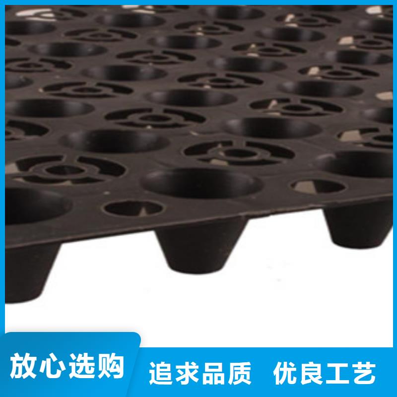 塑料排水板-玻纤土工格栅厂家直销值得选择