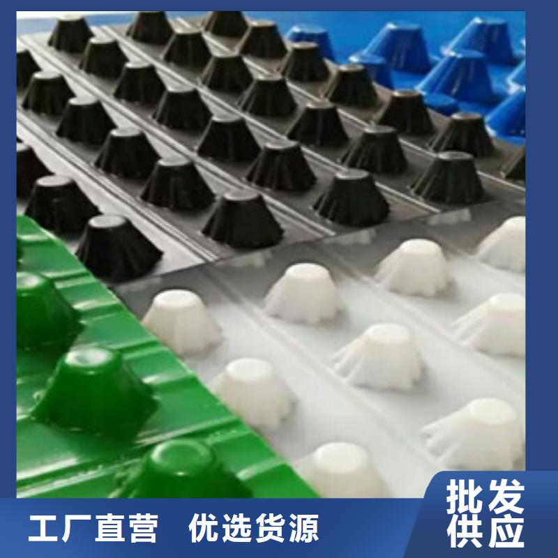 塑料排水板-玻纤土工格栅厂家直销值得选择