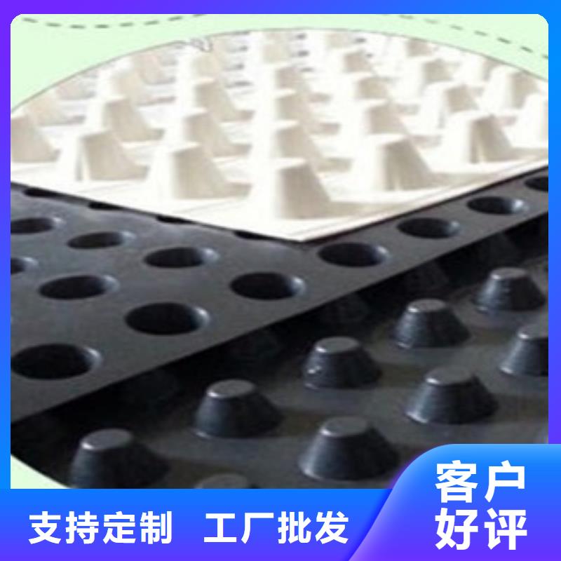 塑料排水板三维植被网适用场景