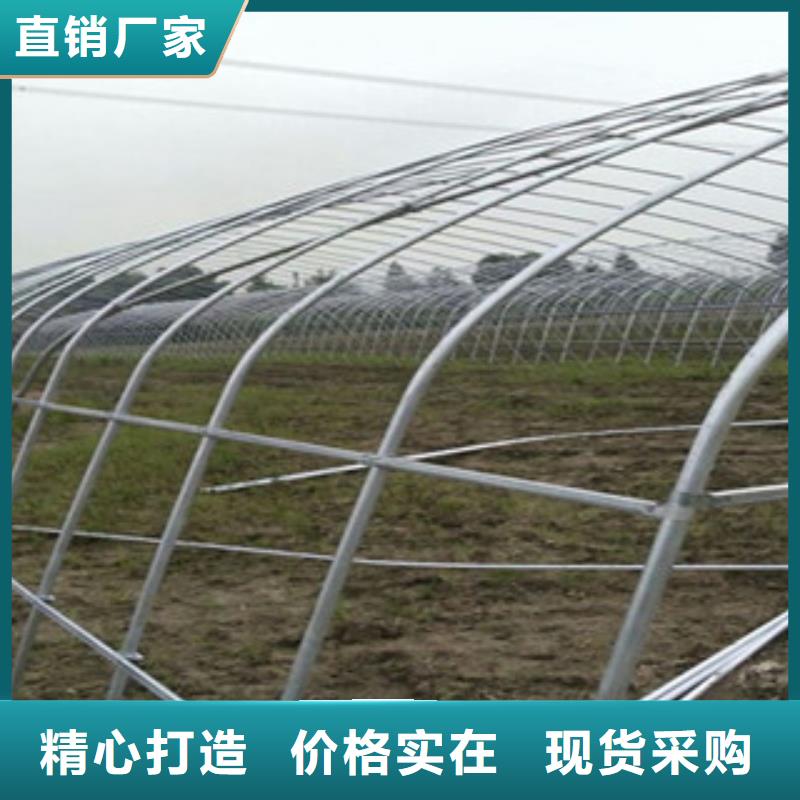 大棚管支持大批量采购