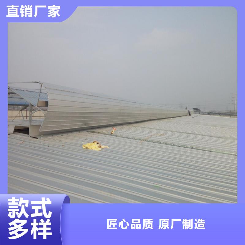 排烟天窗实拍展现