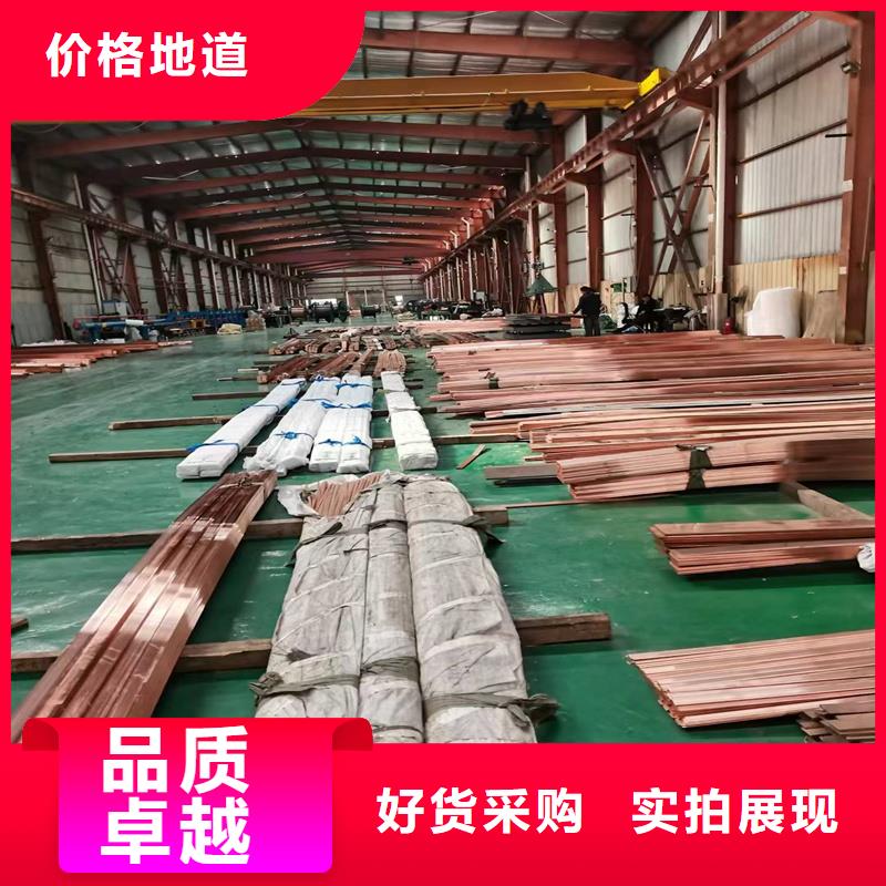 生产接地母线的厂家