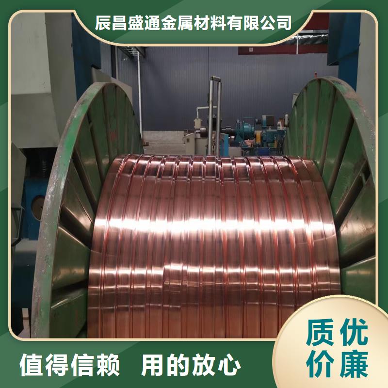 镀锡铜绞线-视频-镀锡铜绞线-辰昌盛通金属材料(新疆分公司)服务区域克拉玛依|伊犁|乌鲁木齐