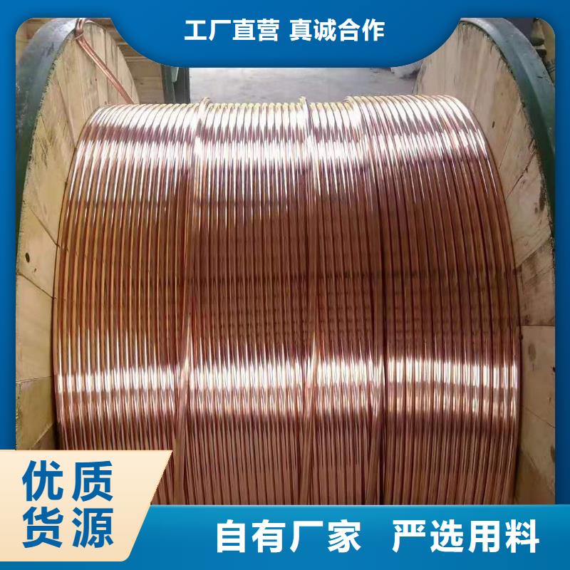 镀锡铜绞线标准了解更多有现货