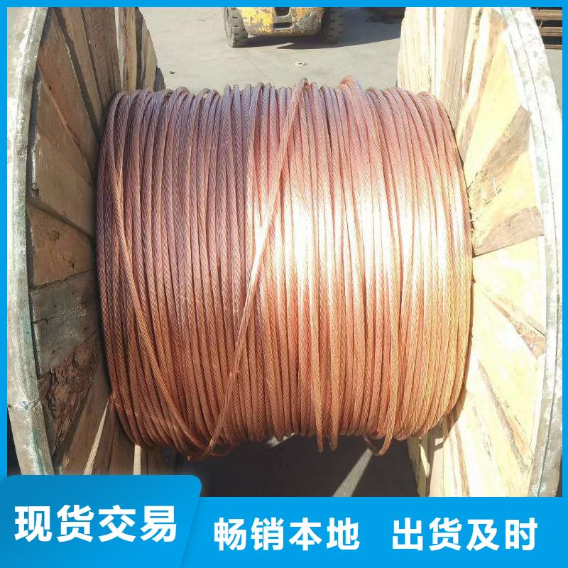 铜绞线_紫铜排品质保证