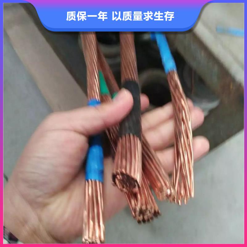 镀锡铜绞线-视频-陕西省宝鸡市辰昌盛通镀锡铜绞线可服务区域凤县|麟游|铜川|汉中|商洛|咸阳等