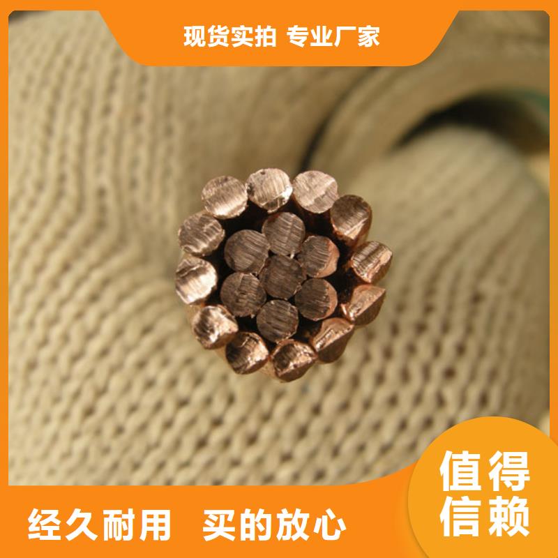 镀锡铜绞线-视频-镀锡铜绞线(辰昌盛通)覆盖地域四川省眉山市东坡|丹棱|雅安|广安|广元|成都|资阳|阿坝