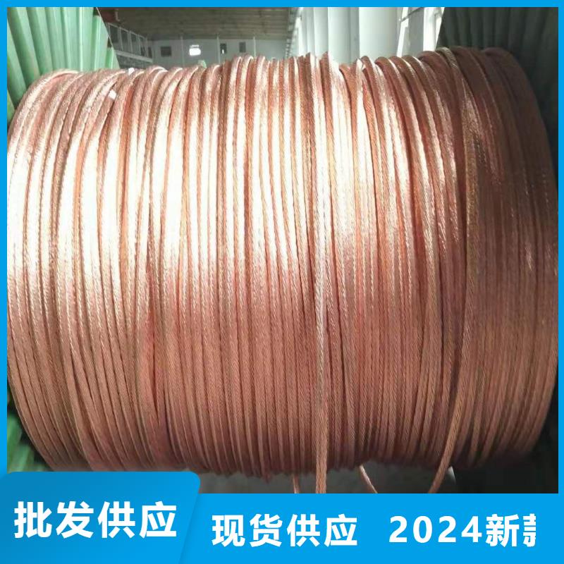 镀锡铜绞线-视频-镀锡铜绞线_湖南省郴州市市场覆盖临武|资兴|怀化|娄底|永州|张家界等
